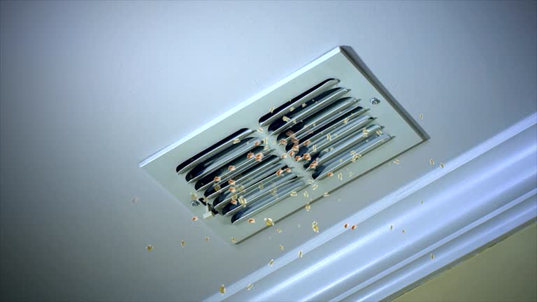 Best Home Air Vent Cleaning  in Ocala, FL